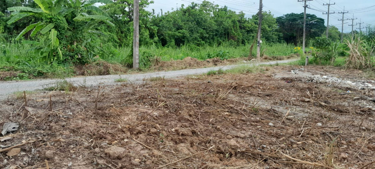 รูป (เจ้าของ) ที่ดิน 100 ตร.ว. ทำเลดี เมืองพิษณุโลก ใกล้ห้าง ใกล้มหาลัย - รูปที่ 6/18