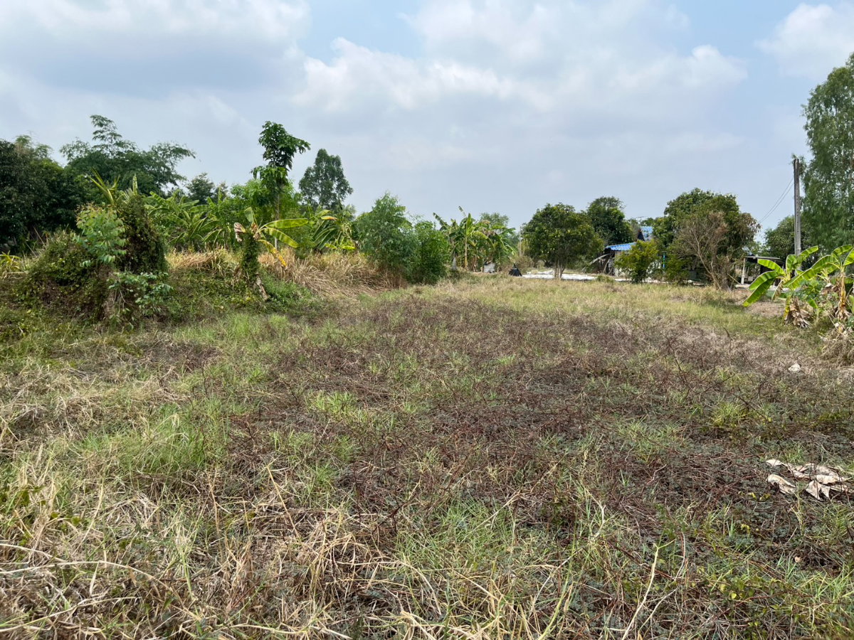 รูป ที่ดิน 200 ตารางวา อ.เมืองนครนยก ใกล้ถนนรังสิต - นครนายก ขายเพียง 9 แสนบาท - รูปที่ 17/20