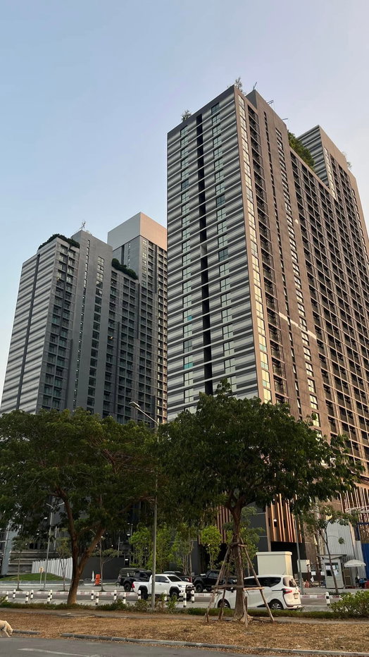 รูป ขายคอนโด ห้อง Rare Item แต่งครบ ✨ A Space Mega เอ สเปซ เมกา   ติด Mega Bangna ✅ขายพร้อมผู้เช่า รับรายได้ทันที   - รูปที่ 17/19