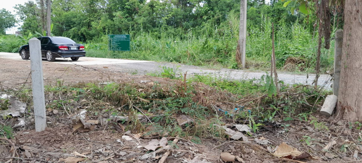 รูป (เจ้าของ) ที่ดิน 100 ตร.ว. ทำเลดี เมืองพิษณุโลก ใกล้ห้าง ใกล้มหาลัย - รูปที่ 8/18