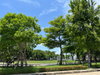 listing thumbnail image 24