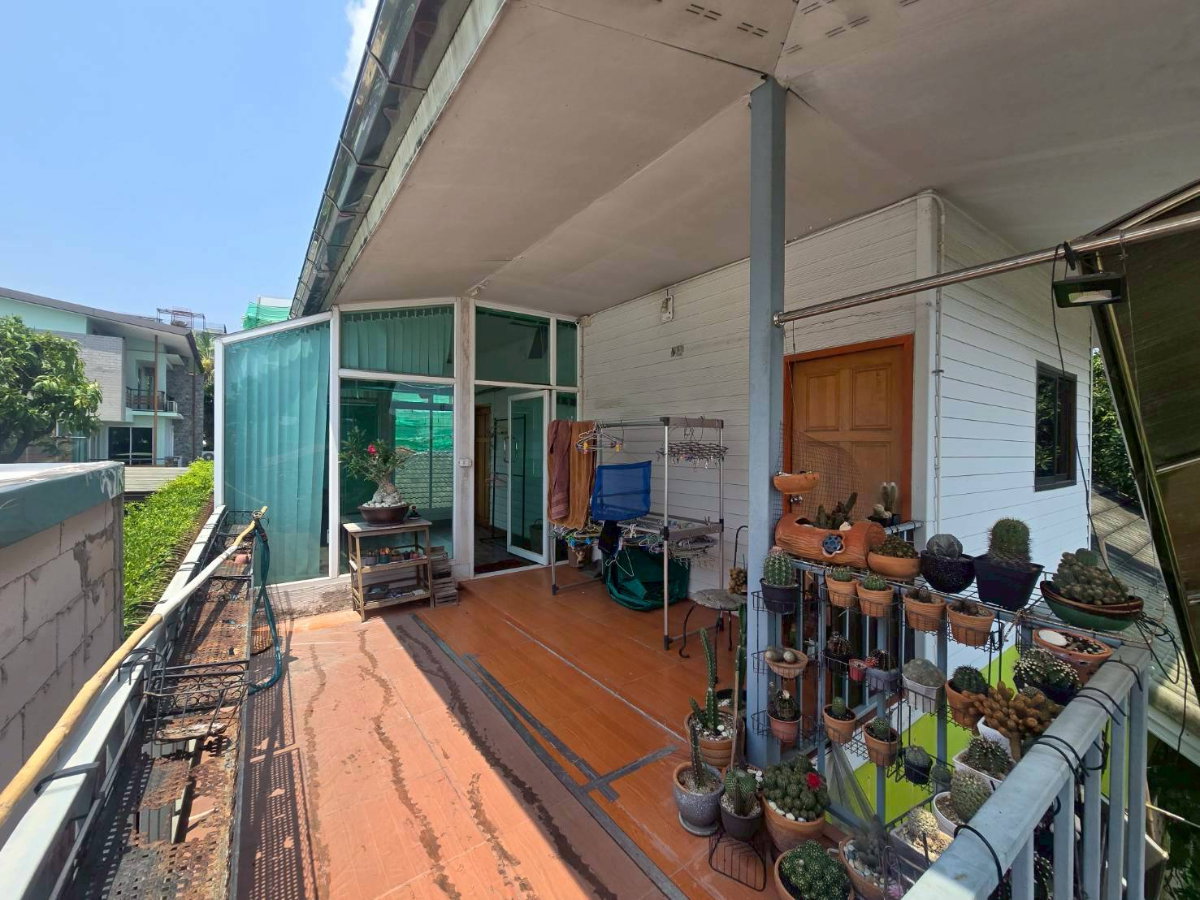 รูป ขายบ้านเดี่ยว สุขุมวิท101 ร่มรื่นเหมาะพักอาศัย ใกล้ BTS บางจาก (N.2041) - รูปที่ 8/9