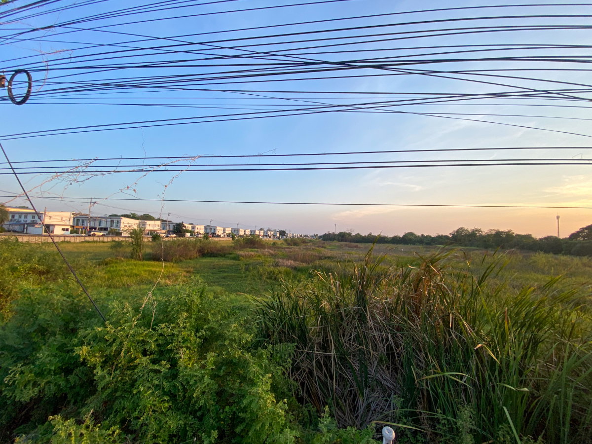 รูป [Rare Item] ขายที่ดิน 28 ไร่เศษ ติดถนนบ้านกล้วย-ไทรน้อย หน้ากว้าง 167 ม. เหมาะทำจัดสรร - รูปที่ 7/24