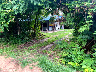 ที่ดิน ศรีสะเกษ : บ้านชั้นเดียว ศรีสะเกษ บรรยากาศร่มรื่น