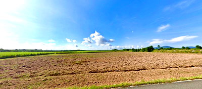 Land for sale Ban Bung Chonburi : Large plot of land for sale in Ban Bueng, near Highway 331. Excellent location, convenient transportation.