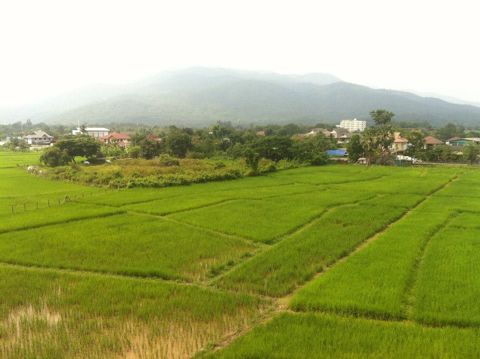 รูป คอนโดพร้อมเข้าอยู่ 1 ห้องนอน @North 3 Serene Lake - รูปที่ 13/26