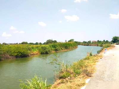 Land for sale Silpakorn University Sanam Chandra Palace : Large size project plot of land for sale in Nakhon Pathom, 1,264 rai, for a lump sum of 700 M. Suitable for a new city project.  CV11.