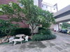 listing thumbnail image 25