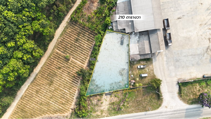รูป ขายด่วน ที่ดินติดทางหลวง 1098 ท่าข้าวเปลือก แม่จัน เชียงราย 210 ตร.ว. รูปทรงถุงเงินถุงทอง - รูปที่ 12/19
