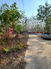 listing thumbnail image 17