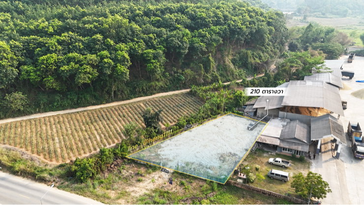 รูป ขายด่วน ที่ดินติดทางหลวง 1098 ท่าข้าวเปลือก แม่จัน เชียงราย 210 ตร.ว. รูปทรงถุงเงินถุงทอง - รูปที่ 14/19