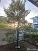listing thumbnail image 15