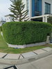 listing thumbnail image 13