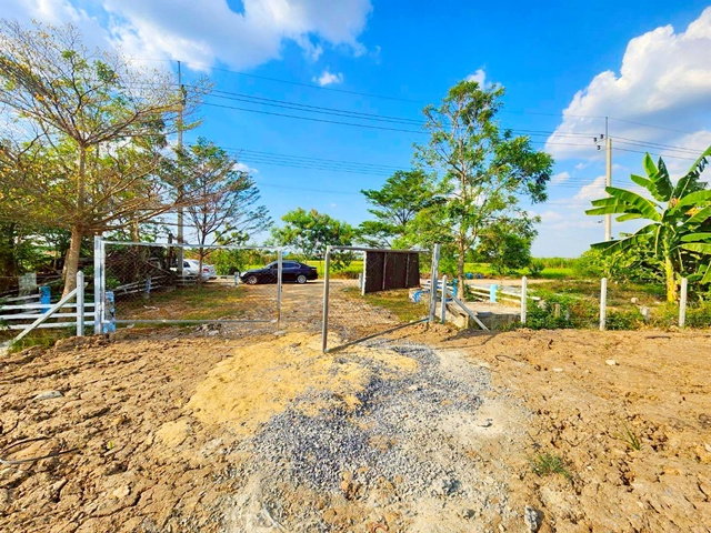 รูป สามวาตะวันออก ที่ดินให้เช่า 1.5ไร่ ถ.คลองเก้า 820ม. ถ.ไมตรีจิต ใกล้ตลาดสามวา 600 ม. รูปแปลงยาวสวย 600 ตร.ว. 2400 ตร.ม. ทางเข้า กว้าง 7 ม. - รูปที่ 1/8