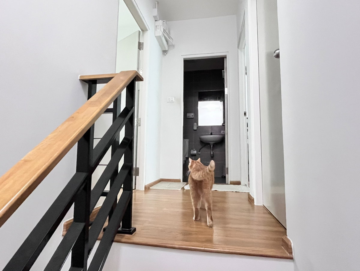 รูป 🏠ให้เช่า Pleno ดอนเมือง-สรงประภา | บ้านสไตล์มินิมอลอบอุ่น+Pet Friendly - รูปที่ 9/20