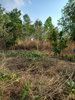 listing thumbnail image 20