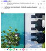 listing thumbnail image 27