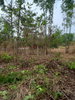 listing thumbnail image 24