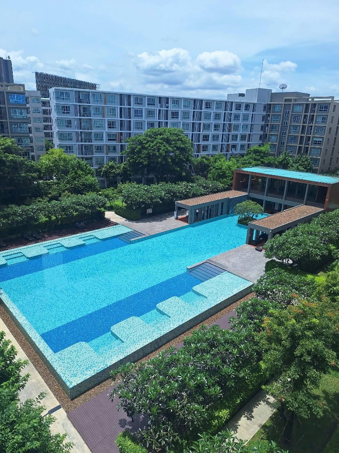 picture For Sale  Dcondo Sign. size 30 Sqm. 3rd floor  - 12/15