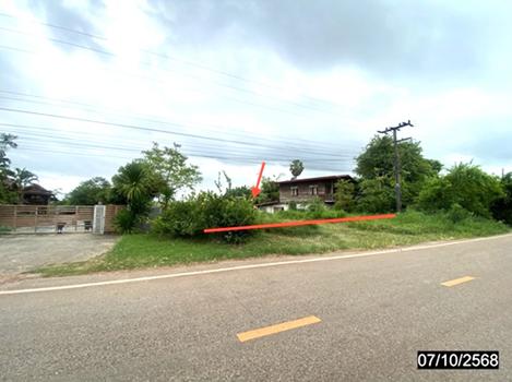 รูป ที่ดินว่างเปล่า 192 ตร.วา ทุ่งฝน อุดรธานี 1.9M - รูปที่ 13/16