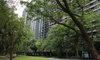listing thumbnail image 11