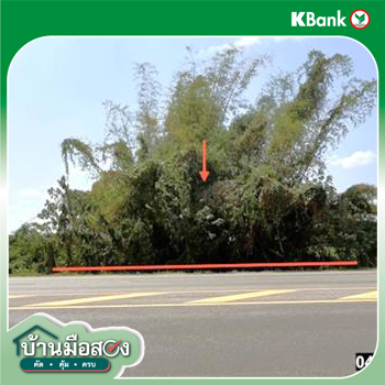 รูป ที่ดินว่างเปล่า 473 ตร.วา ท่าบ่อ หนองคาย 2.4M - รูปที่ 10/12