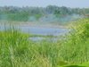 listing thumbnail image 36