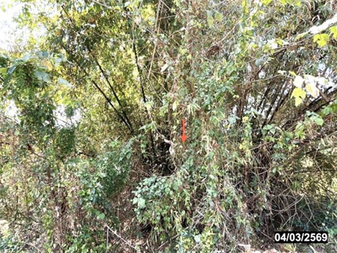 รูป ที่ดินว่างเปล่า 473 ตร.วา ท่าบ่อ หนองคาย 2.4M - รูปที่ 4/12