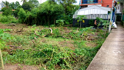 Land for sale Samut Prakarn : land for sale 100sqw in clouded tourist area Bang nam phung market