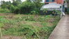 listing thumbnail image 2