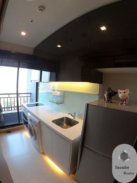 รูป A030901 Ivy Ampio - รูปที่ 3/7