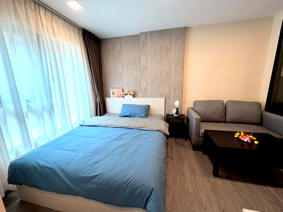 คอนโดให้เช่า : ให้เช่า เคฟ วันเดอร์แลนด์    ชั้น 2 ขนาด 24 ตร.ม.  11,000
