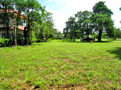 ขายที่ดิน : ขายที่ดินเปล่า 171 ตร.ว. โครงการบ้านเนินน้ำ บางละมุง ชลบุรี เลียบทางด่วนกรุงเทพพัทยา โครงการติดอ่างเก็บน้ำห้วยขุนจิต 