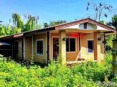 บ้านเดี่ยว เชียงใหม่ : บ้านเดี่ยว 121.2 ตร.วา เชียงดาว เชียงใหม่ 1.4M