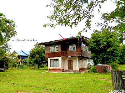 บ้านเดี่ยว นครราชสีมา (โคราช) : บ้านเดี่ยว 643 ตร.วา บัวใหญ่ นครราชสีมา 1.3M