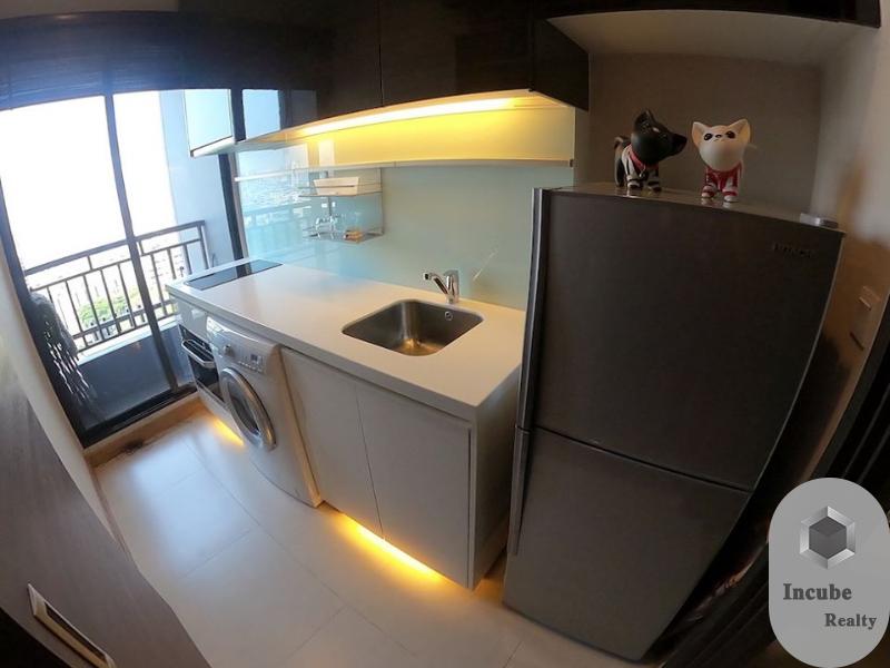รูป A030901 Ivy Ampio - รูปที่ 5/7