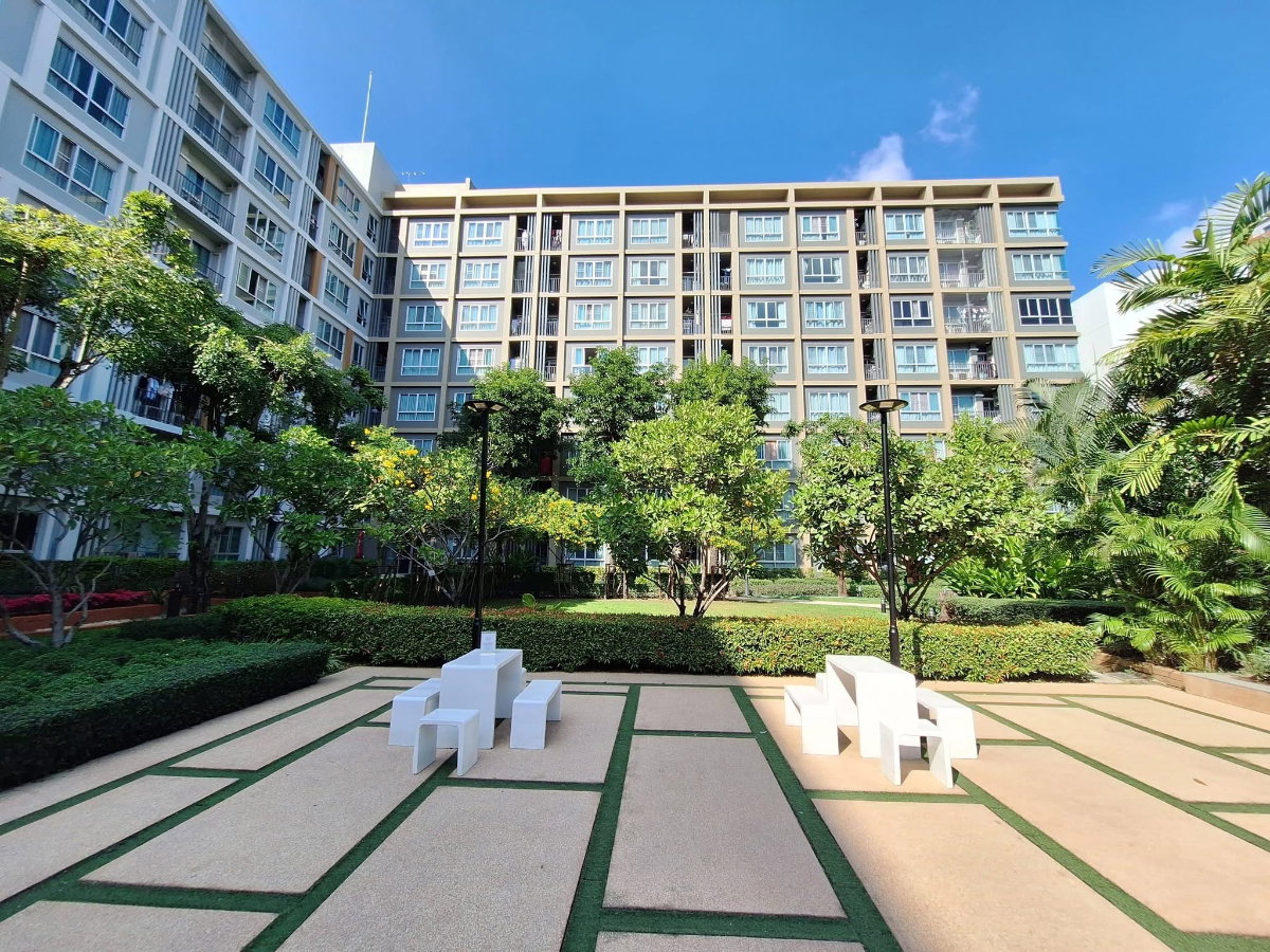 picture For Sale  Dcondo Sign. size 30 Sqm. 3rd floor  - 14/15