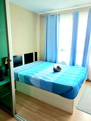 Condos for rent : Plum condo Paholyothin89 for rent.
