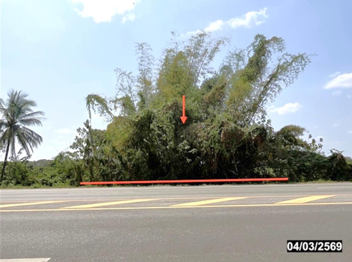 รูป ที่ดินว่างเปล่า 473 ตร.วา ท่าบ่อ หนองคาย 2.4M - รูปที่ 5/12