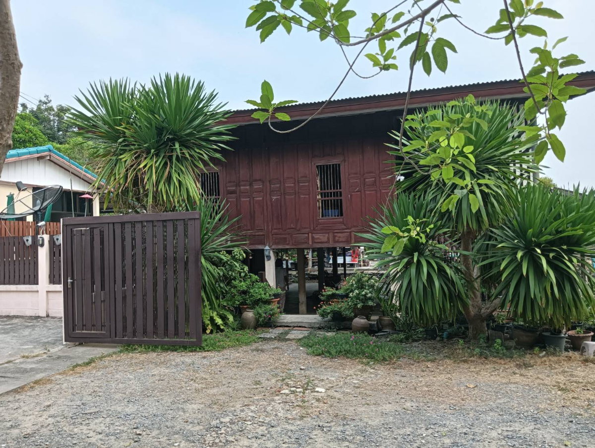 รูป บ้านพร้อมที่ดิน “เสนานิคม” ทำเลหายาก เข้า-ออกได้ 3 ทาง - รูปที่ 6/16