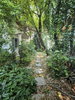 listing thumbnail image 23
