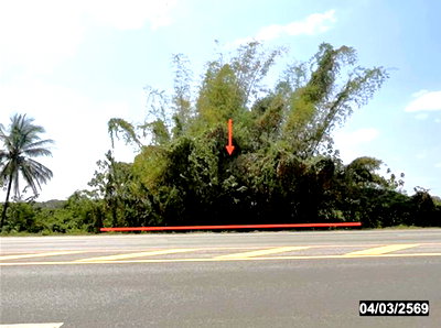 Land for sale : LAND 473 Sq.w. Tha Bo Nongkai for 2.4M