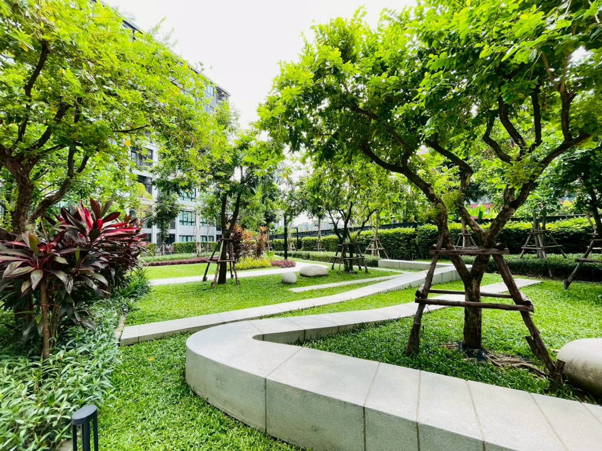 picture For Rent : DCondo Campus Hideaway Rangsit - 39/45