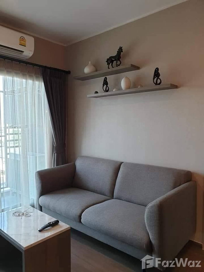 picture rent 1905953 - 4/5