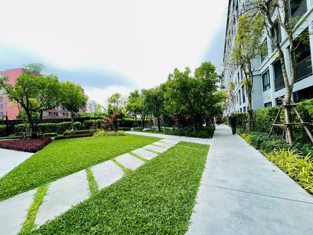 picture For Rent : DCondo Campus Hideaway Rangsit - 40/45