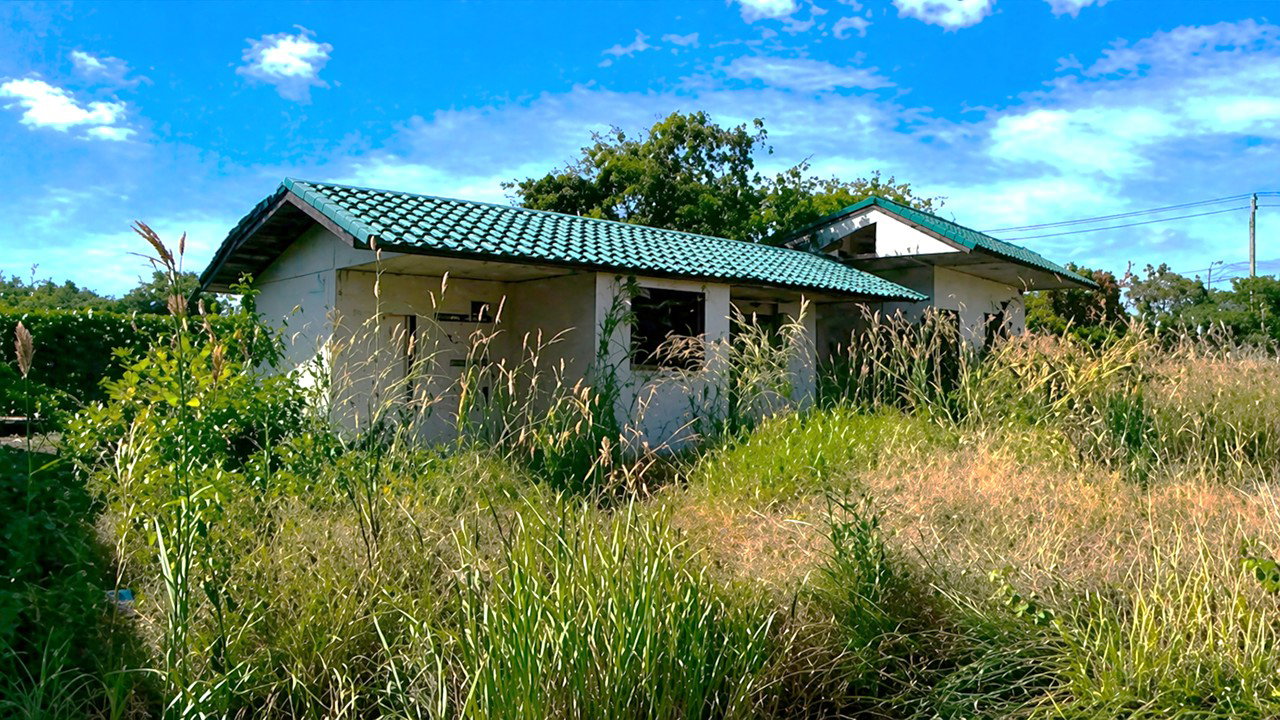 picture LAND 723 Sq.w. Nam Yun Ubon Ratchathani for 12M - 7/11