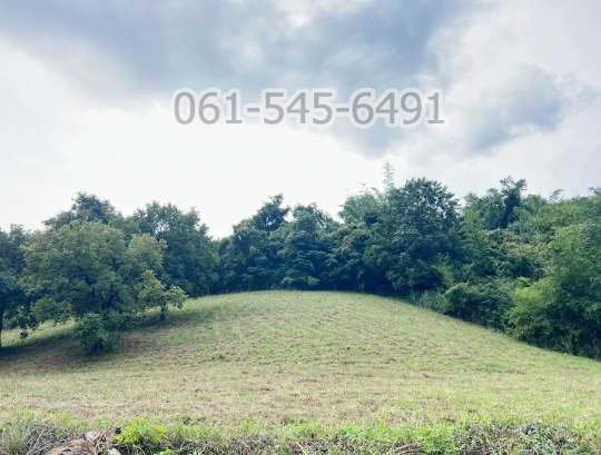 รูป ขาย ที่ดิน โครงการชาญอิสระ 687 ตร.ว. อ.มวกเหล็ก จ.สระบุรี สวย คุ้มค่ามาก - รูปที่ 2/12