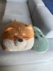 listing thumbnail image 6
