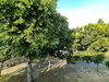 listing thumbnail image 18