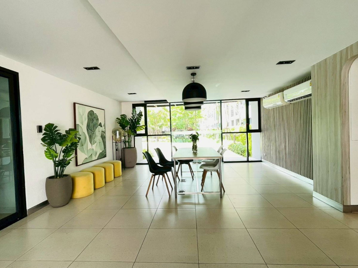 picture For Rent : DCondo Campus Hideaway Rangsit - 43/45